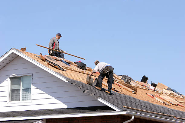 Best Roof Maintenance and Cleaning  in Trezevant, TN